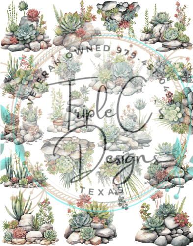 Succulent 11 x 14 Theme