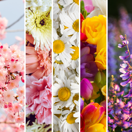 Flower Strip Element
